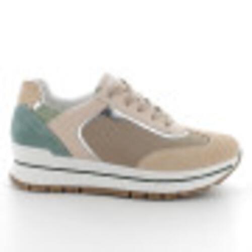 Zapatilla IGI&CO en color nude y verde